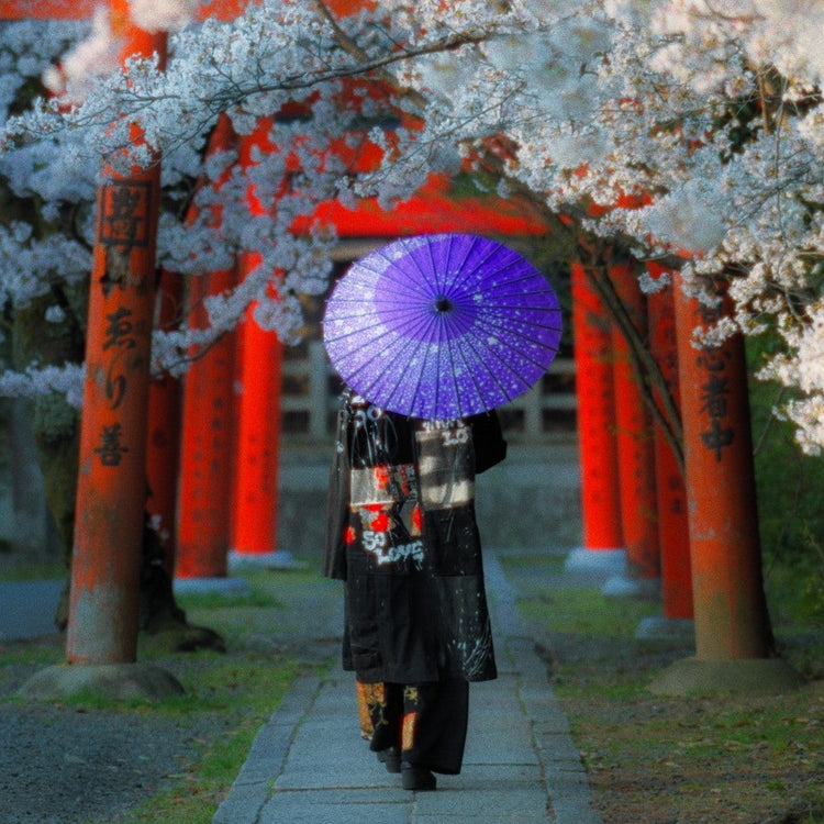 zivun kimono collection