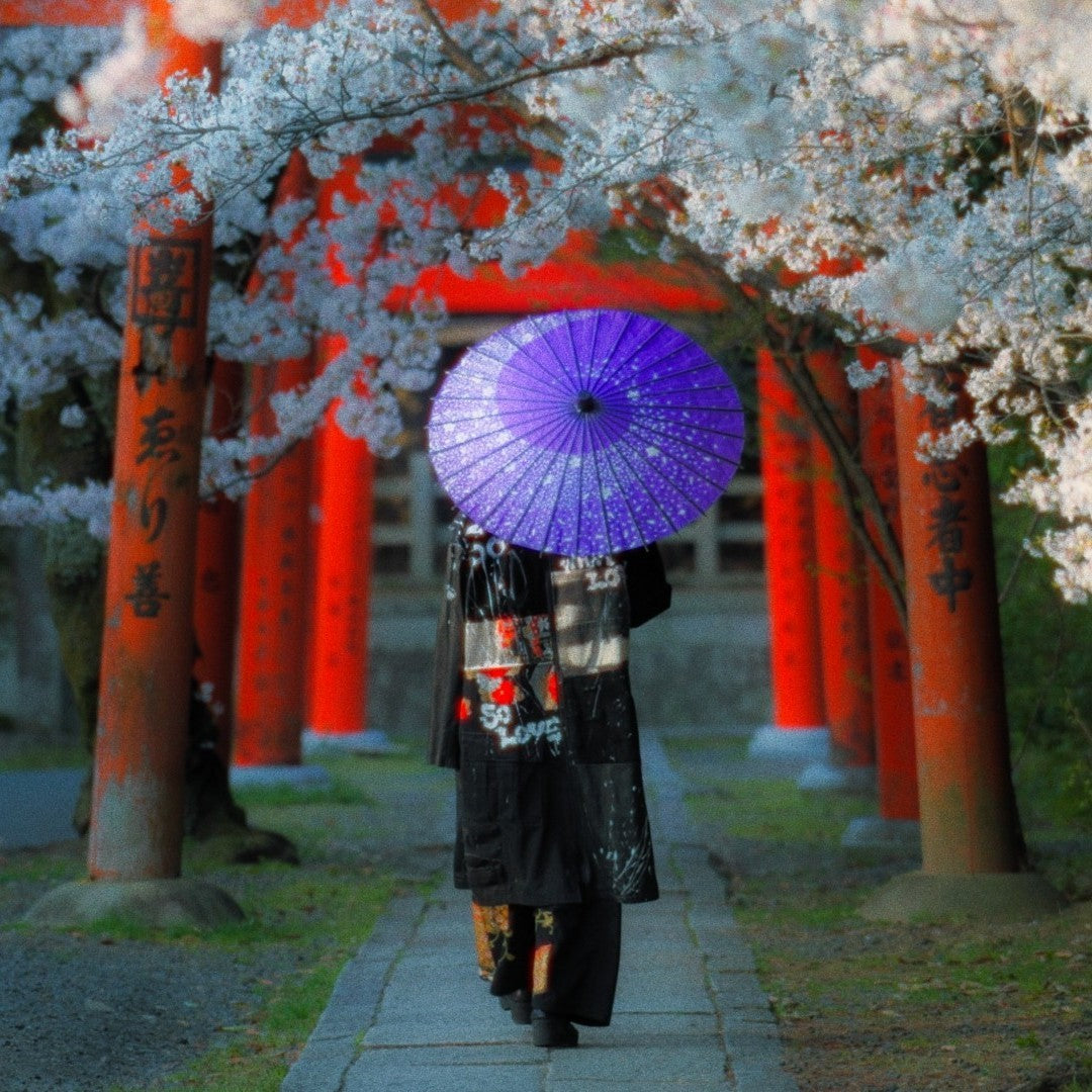zivun kimono collection