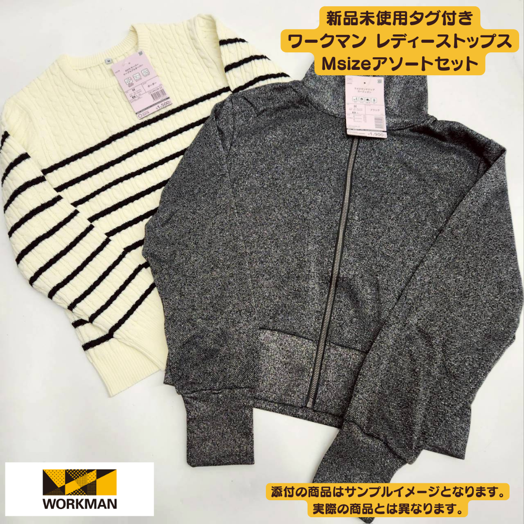 Brand new with tags, Workman Women's Tops, Size M, 10-piece set | Wholesale bulk sale [OLD FLIP]