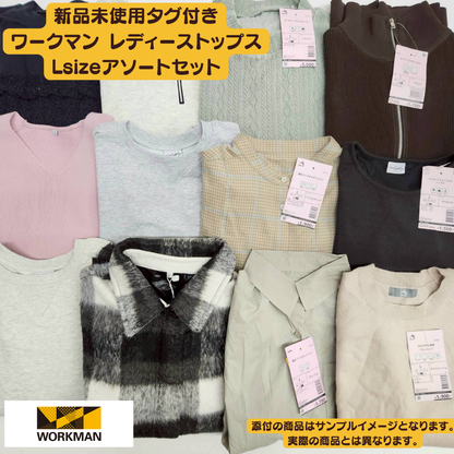 Brand new with tags, Workman Women's Tops, Size L, 10-piece set | Wholesale bulk sale [OLD FLIP]
