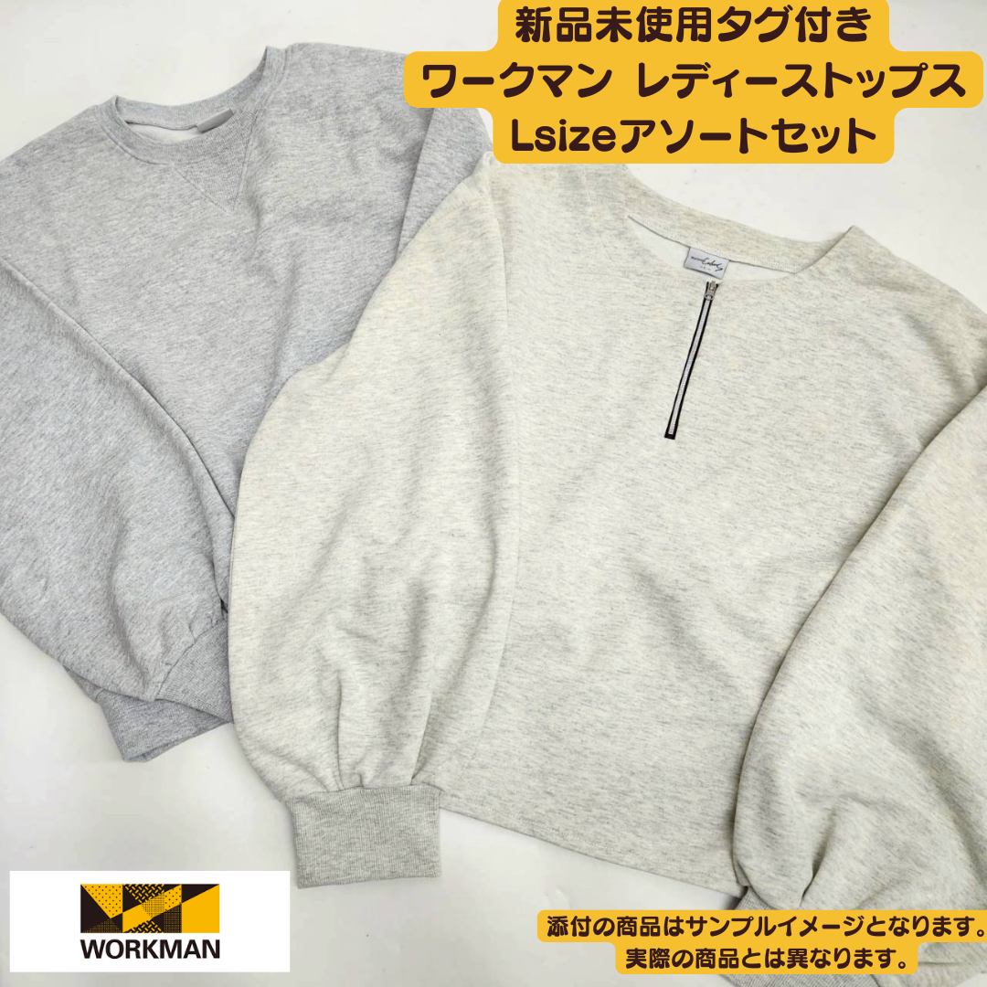 Brand new with tags, Workman Women's Tops, Size L, 10-piece set | Wholesale bulk sale [OLD FLIP]