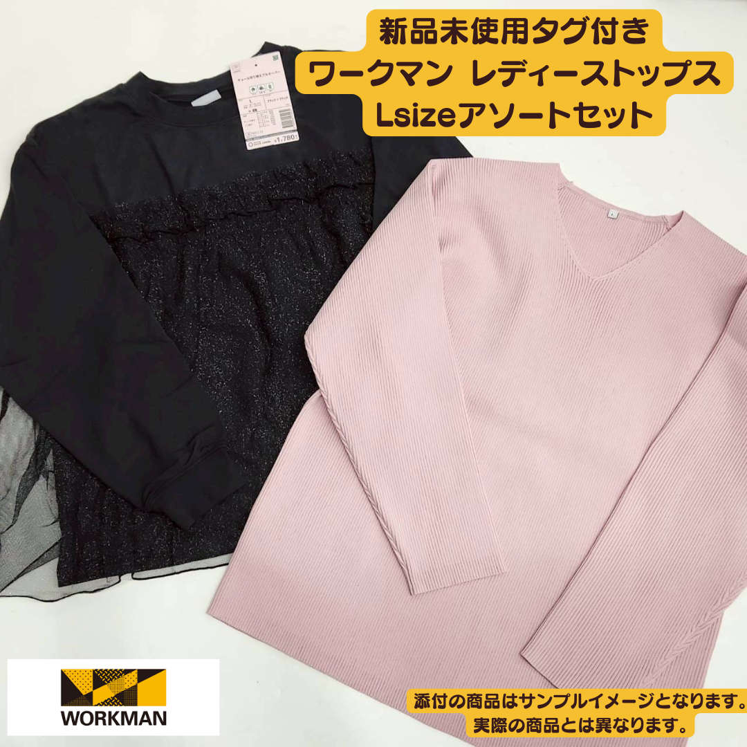 Brand new with tags, Workman Women's Tops, Size L, 10-piece set | Wholesale bulk sale [OLD FLIP]