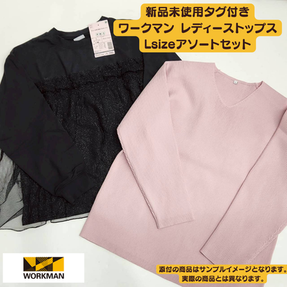 Brand new with tags, Workman Women's Tops, Size L, 10-piece set | Wholesale bulk sale [OLD FLIP]