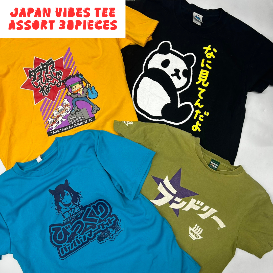 Japanese Graphic T-Shirt Assorted Lot 30pcs Funny, Kanji & Pop Culture Prints Unisex Mix OLD FLIP