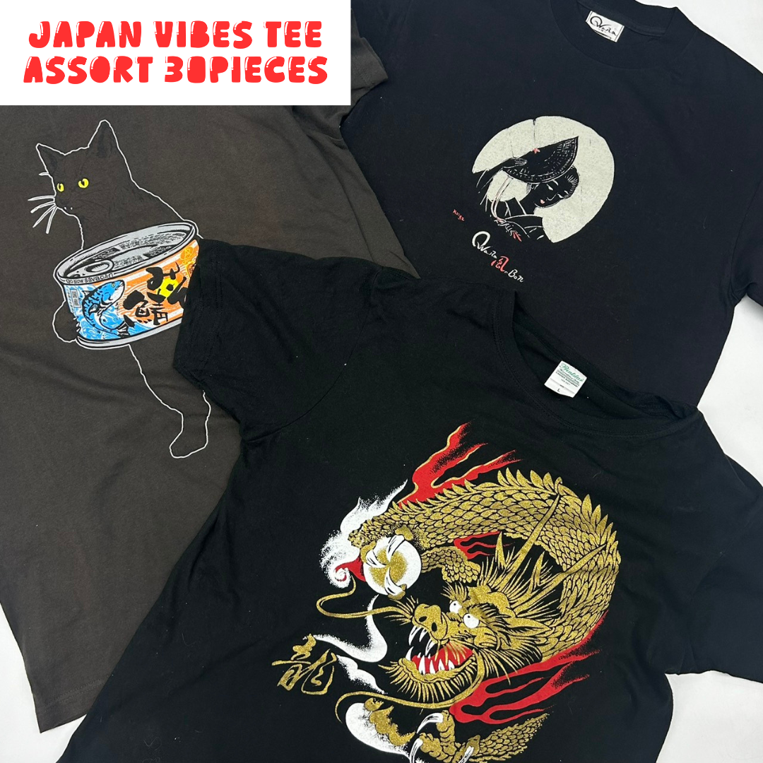 Japanese Graphic T-Shirt Assorted Lot 30pcs Funny, Kanji & Pop Culture Prints Unisex Mix OLD FLIP