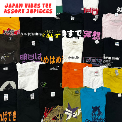 Japanese Graphic T-Shirt Assorted Lot 30pcs Funny, Kanji & Pop Culture Prints Unisex Mix OLD FLIP