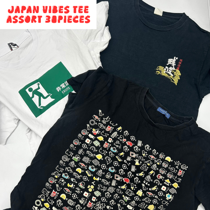Japanese Graphic T-Shirt Assorted Lot 30pcs Funny, Kanji & Pop Culture Prints Unisex Mix OLD FLIP