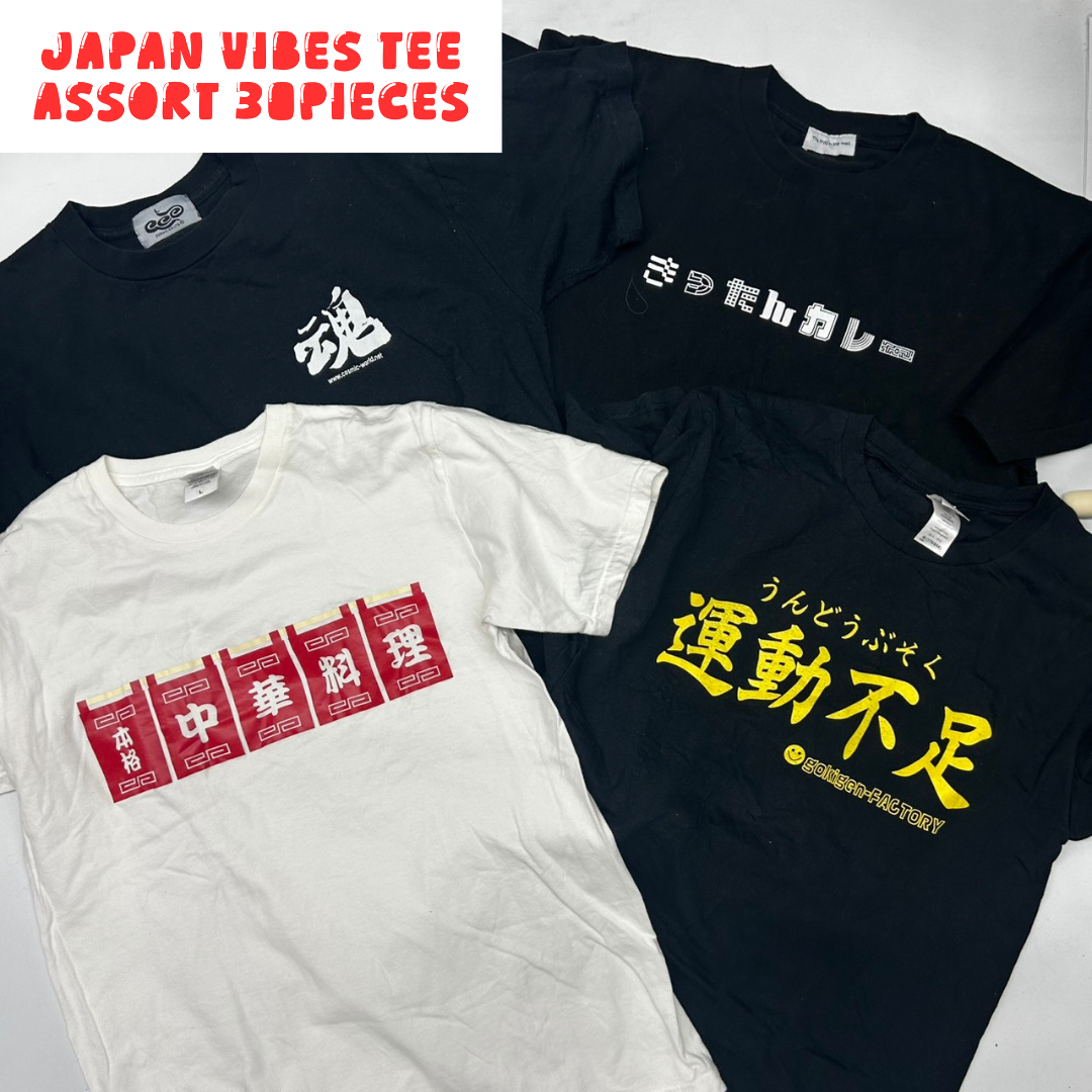 Japanese Graphic T-Shirt Assorted Lot 30pcs Funny, Kanji & Pop Culture Prints Unisex Mix OLD FLIP