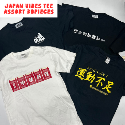 Japanese Graphic T-Shirt Assorted Lot 30pcs Funny, Kanji & Pop Culture Prints Unisex Mix OLD FLIP