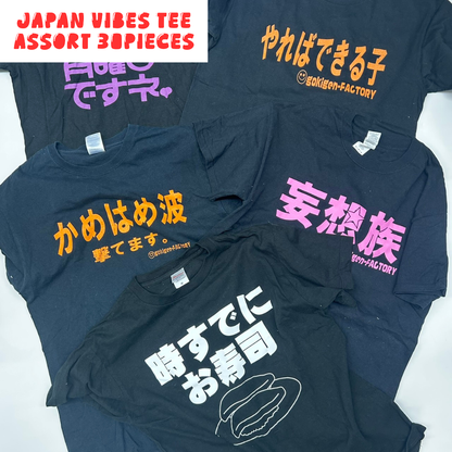 Japanese Graphic T-Shirt Assorted Lot 30pcs Funny, Kanji & Pop Culture Prints Unisex Mix OLD FLIP