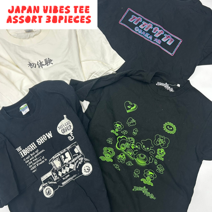 Japanese Graphic T-Shirt Assorted Lot 30pcs Funny, Kanji & Pop Culture Prints Unisex Mix OLD FLIP