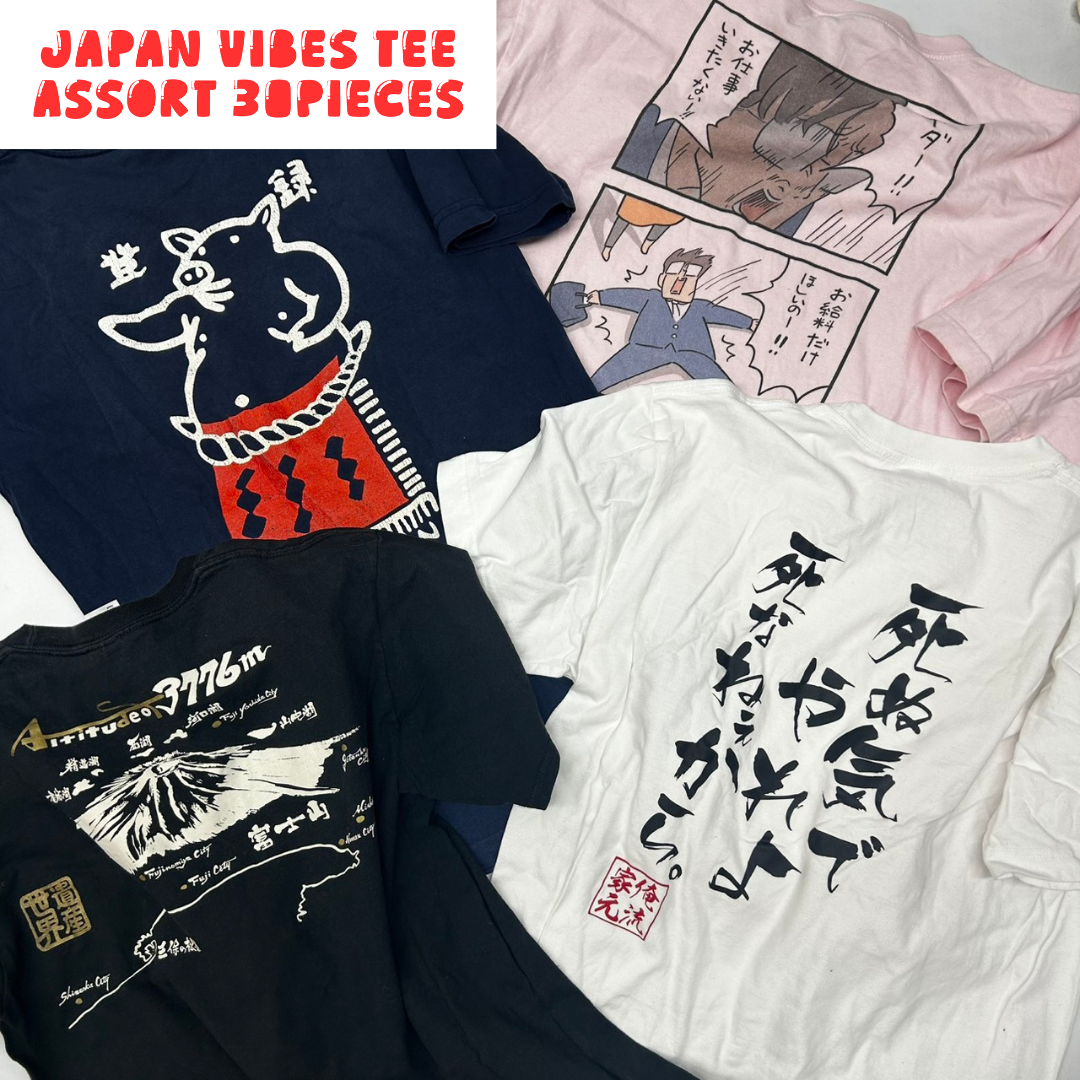 Japanese Graphic T-Shirt Assorted Lot 30pcs Funny, Kanji & Pop Culture Prints Unisex Mix OLD FLIP