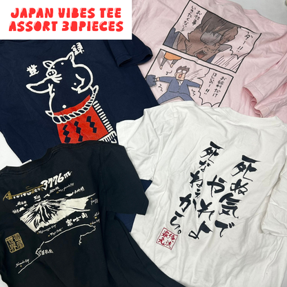 Japanese Graphic T-Shirt Assorted Lot 30pcs Funny, Kanji & Pop Culture Prints Unisex Mix OLD FLIP